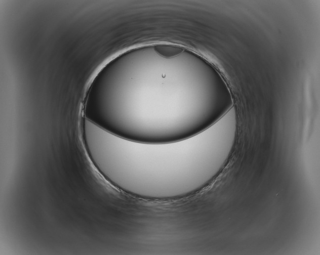 X0000088471524200705220930