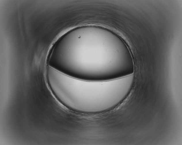 X0000088471525200705220930