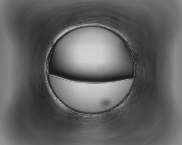X0000088471526200705220930