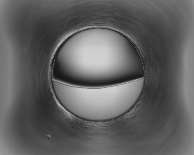 X0000088471527200705220930