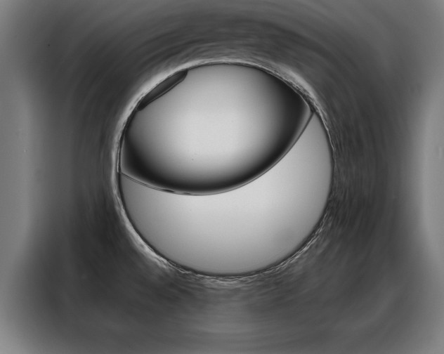 X0000088471528200705220930
