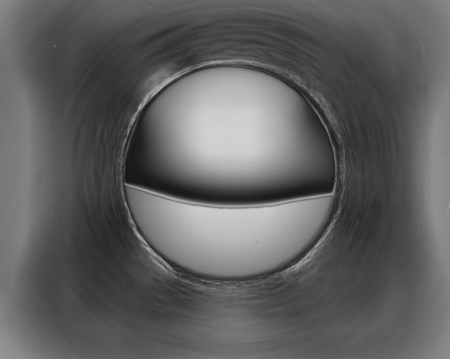 X0000088471529200705220930