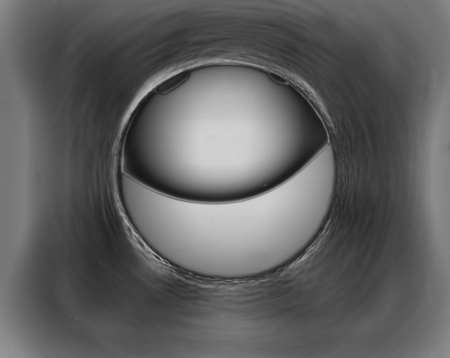 X0000088471530200705220930