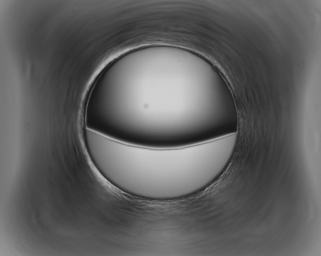 X0000088471531200705220930