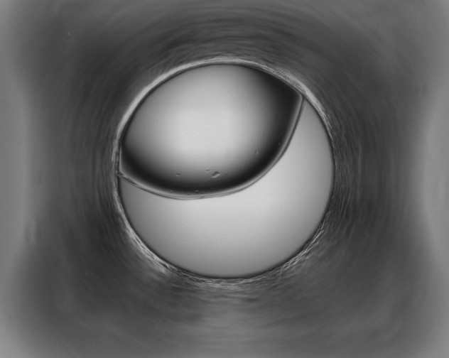 X0000088471532200705220930