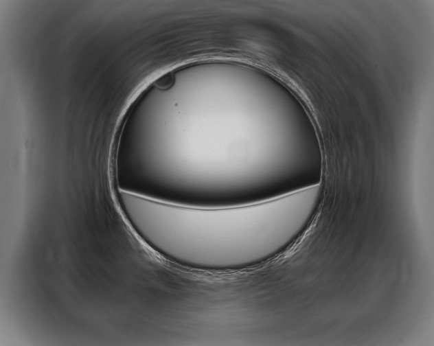 X0000088471533200705220930