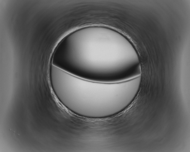 X0000088471534200705220930