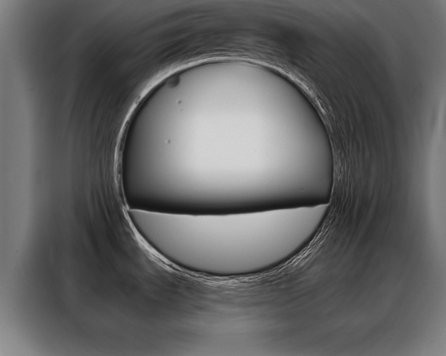 X0000088471535200705220930