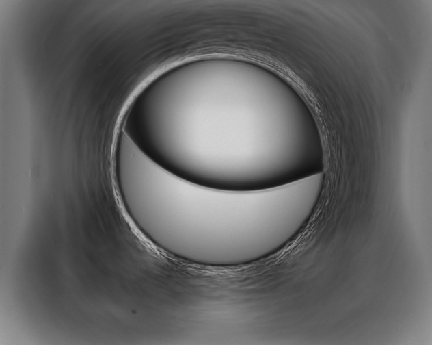 X0000088471536200705220930