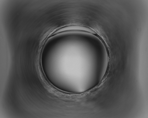 X0000088470001200705221412