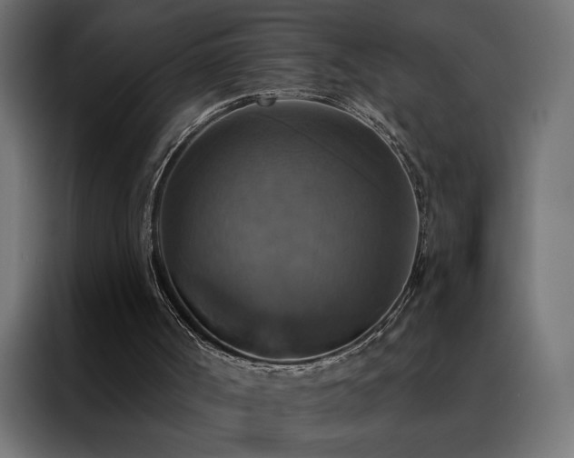 X0000088470002200705221412