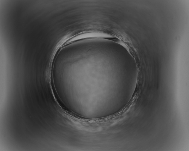 X0000088470003200705221412