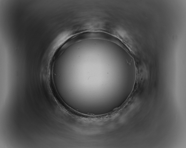 X0000088470005200705221412