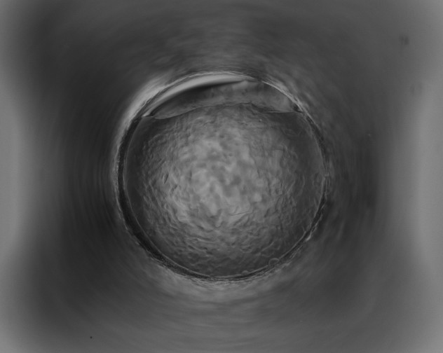 X0000088470006200705221412