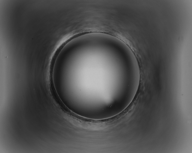 X0000088470008200705221412