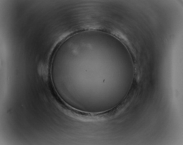 X0000088470012200705221412