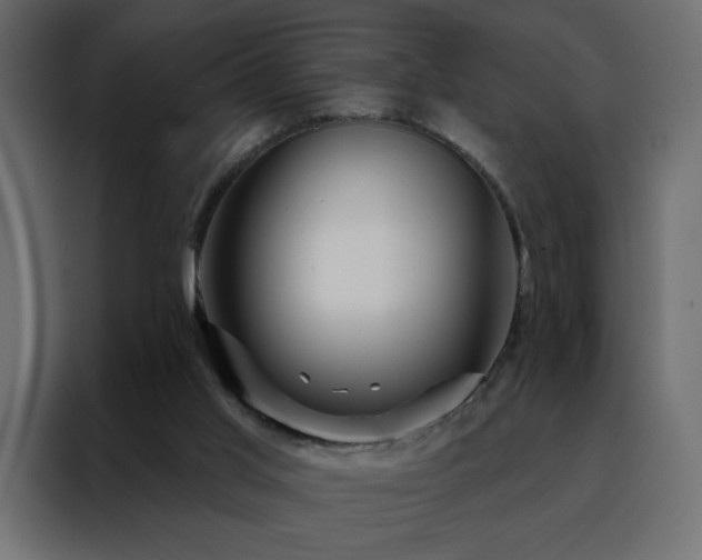 X0000088470013200705221412