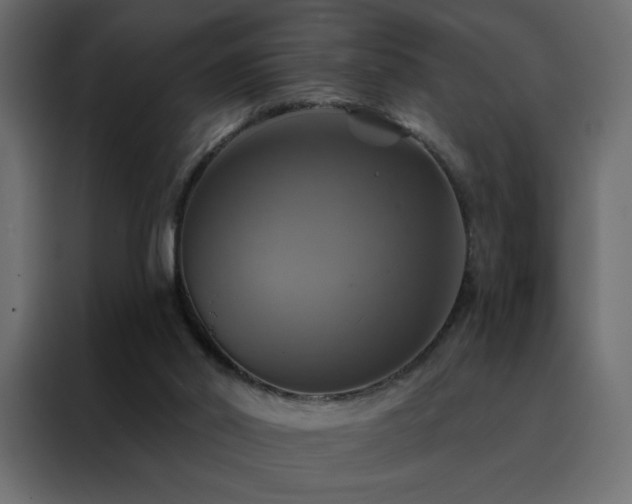 X0000088470014200705221412