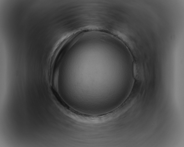 X0000088470015200705221412