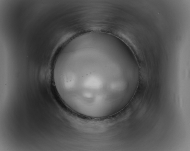 X0000088470016200705221412