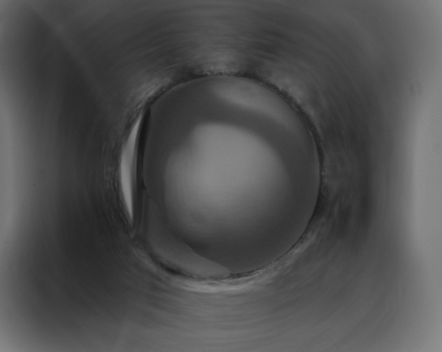 X0000088470017200705221412