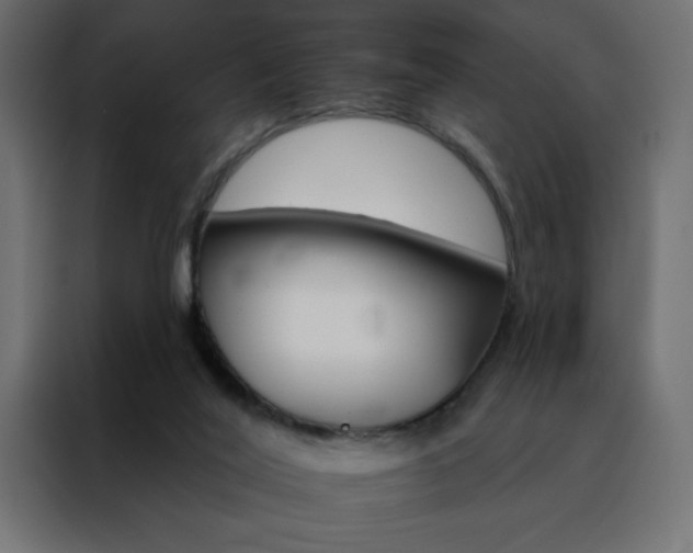 X0000088470020200705221412
