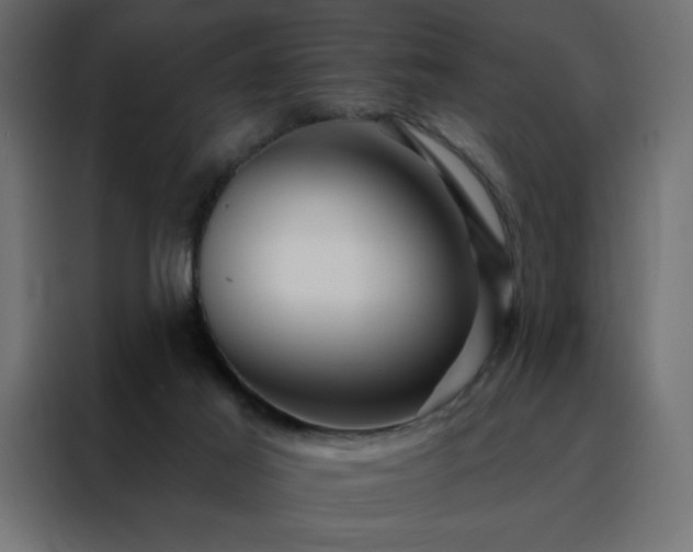 X0000088470021200705221412