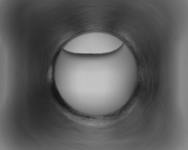 X0000088470024200705221412