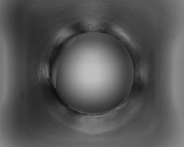 X0000088470025200705221412