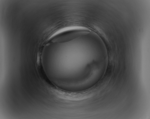X0000088470026200705221412