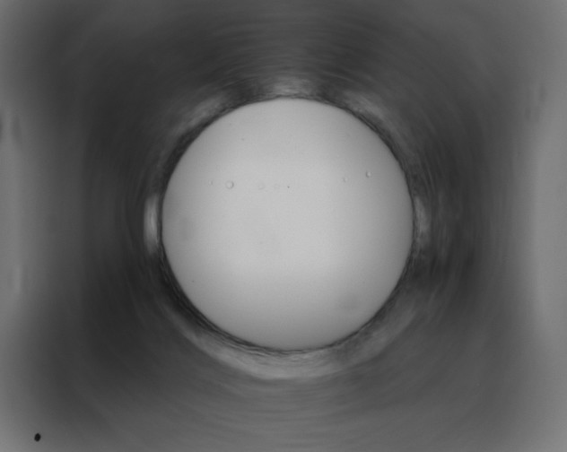 X0000088470028200705221412