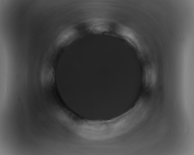 X0000088470029200705221412