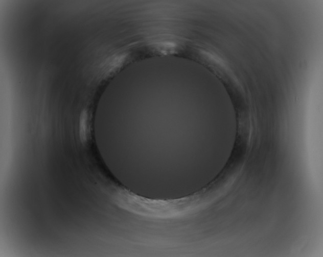 X0000088470030200705221412