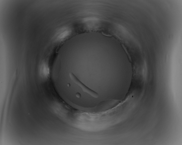 X0000088470033200705221412