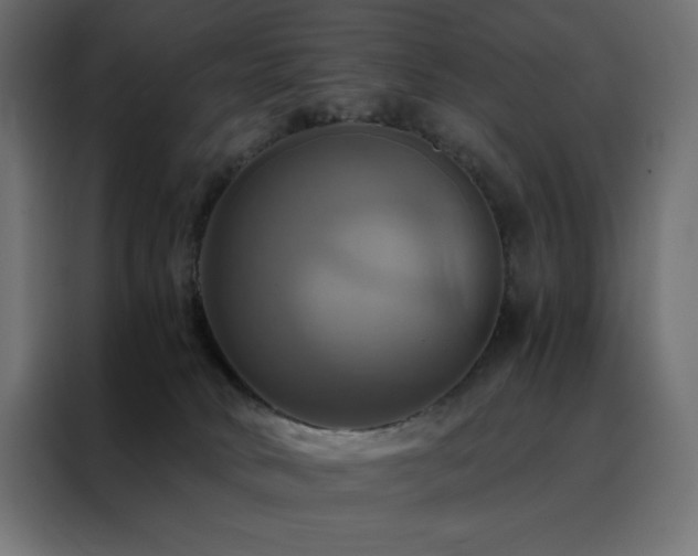 X0000088470034200705221412
