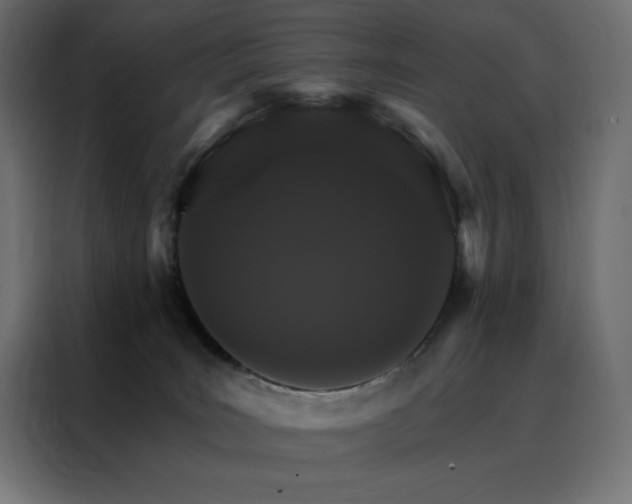 X0000088470035200705221412