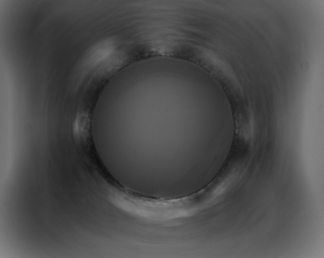 X0000088470036200705221412
