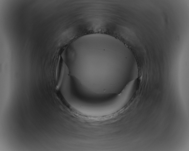 X0000088470039200705221412
