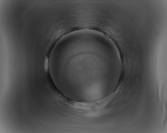 X0000088470041200705221412