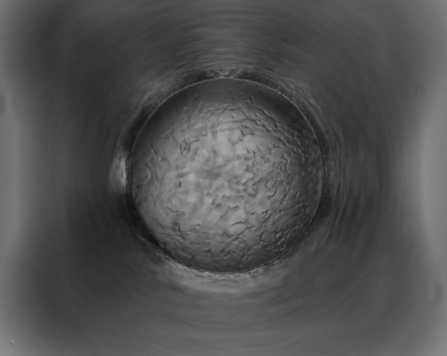 X0000088470042200705221412