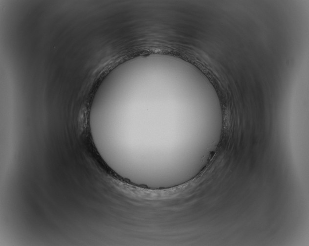 X0000088470043200705221412