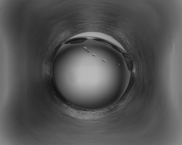 X0000088470044200705221412
