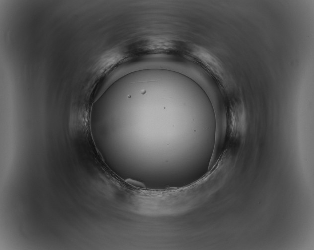 X0000088470045200705221412