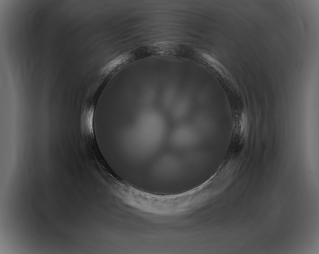 X0000088470047200705221412