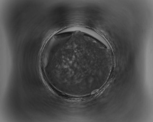 X0000088470049200705221411