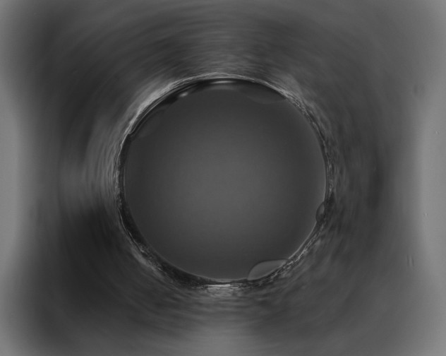 X0000088470050200705221411