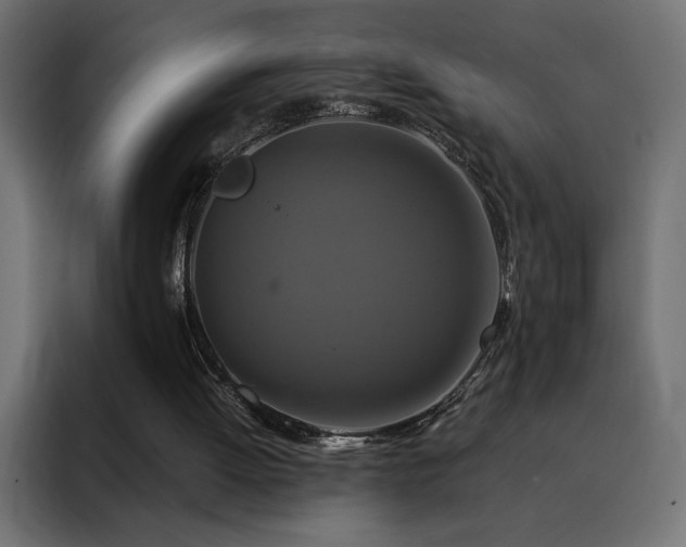 X0000088470052200705221411