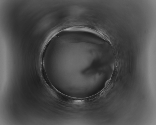 X0000088470053200705221411