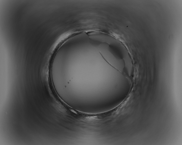 X0000088470054200705221411