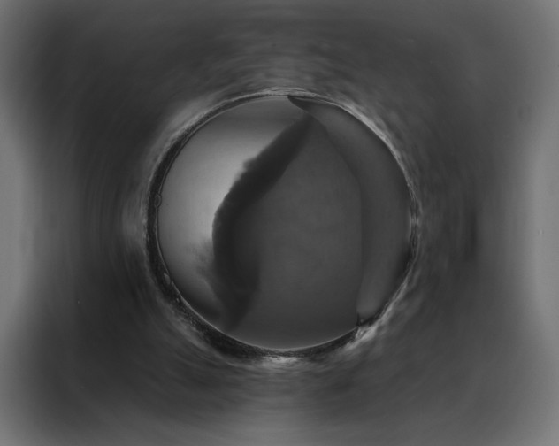 X0000088470055200705221411